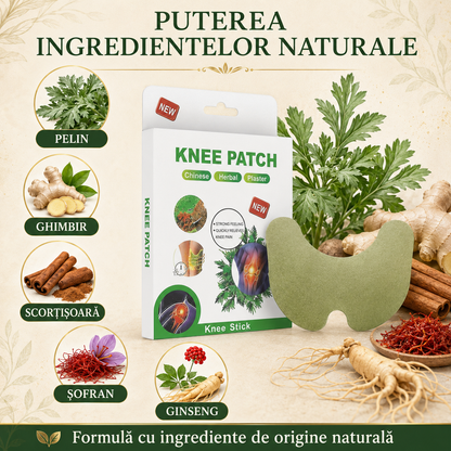 Pachet Sănătate Completă: Set 50 Plasturi cu PELIN pentru Dureri de Genunchi, Spate, Umeri, Ceafă, Articulații + Set 50 Plasturi KINOKI pentru Detoxifiere și Îmbunătățirea Circulației