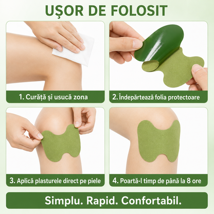 Pachet Sănătate Completă: Set 50 Plasturi cu PELIN pentru Dureri de Genunchi, Spate, Umeri, Ceafă, Articulații + Set 50 Plasturi KINOKI pentru Detoxifiere și Îmbunătățirea Circulației