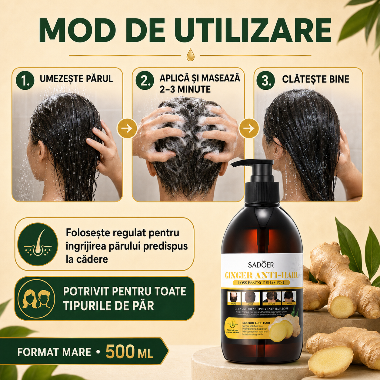Pachet Îngrijire Păr: Șampon Nuanțator 3-în-1, cu Ulei de Cocos, 500ml + Șampon Esență Anti-Cădere și Refacere Păr, cu Ghimbir, 500ml